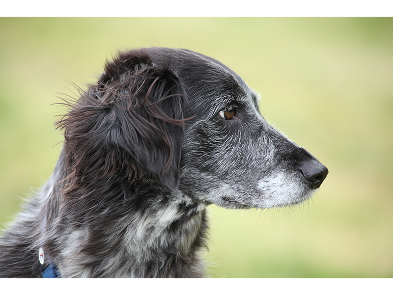 Kurs Portrait