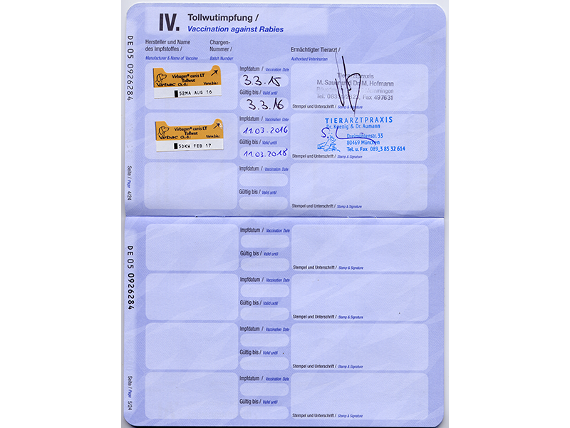 Impfpass