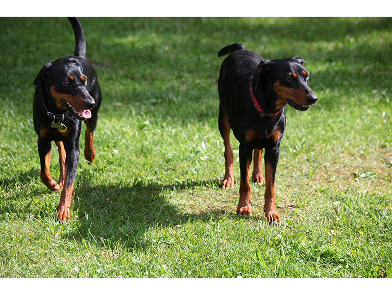 Sissi und Bonnie