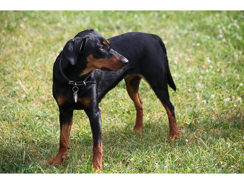 Sissi